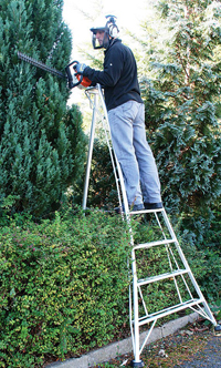 Tripod Ladder for cutting tall hedges